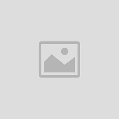 DECORATIVE PAINTS